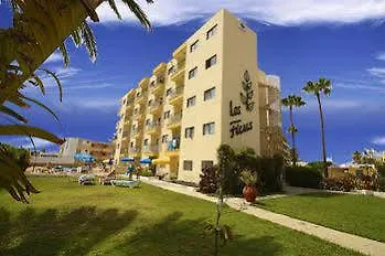 Apartamento Los Ficus Playa Del Inlges Playa del Ingles  Apartment